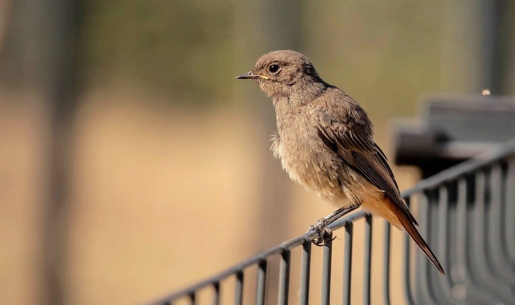 実務に近いチームでの開発学習の効果的な方法は？