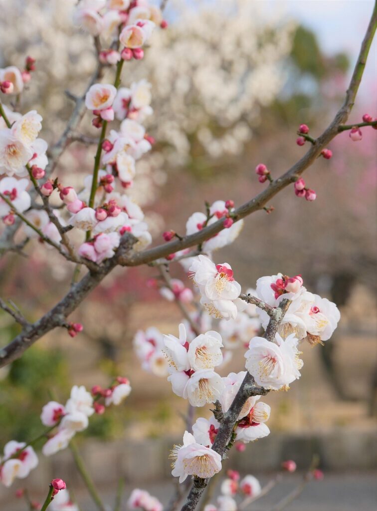 gitを学ぶためのおすすめプログラミングスクールは？