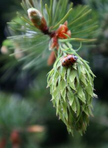 アプリ開発スクールの効果とは何か？