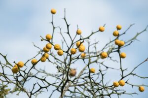 転職保証のあるスクールに関するよくある質問は？