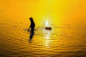 オンラインメンタリングの比較で選ぶべきポイントは？