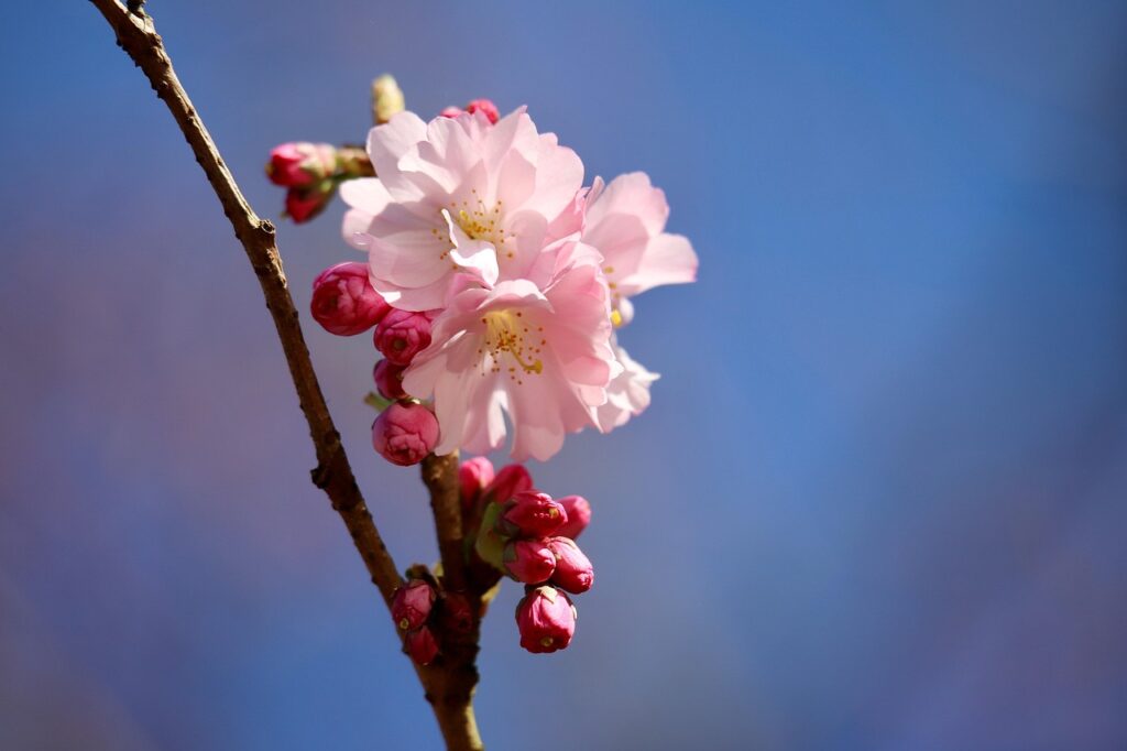 教育訓練給付金に対応しているプログラミングスクールはどこですか？