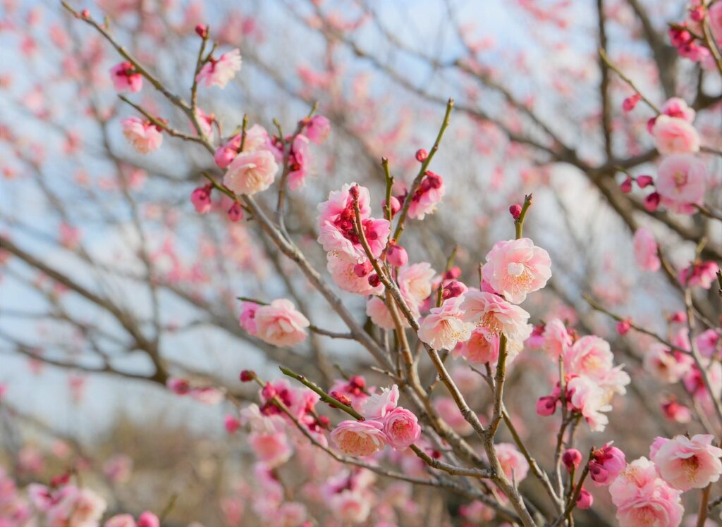 Kotlinを使った転職での給与保証はどのように得られるのか？